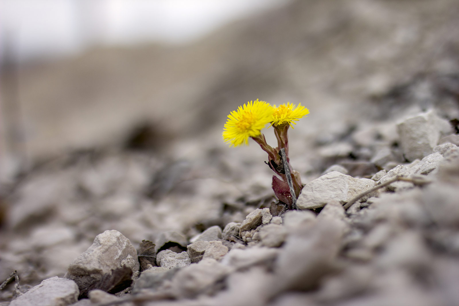 adapting to life's big changes