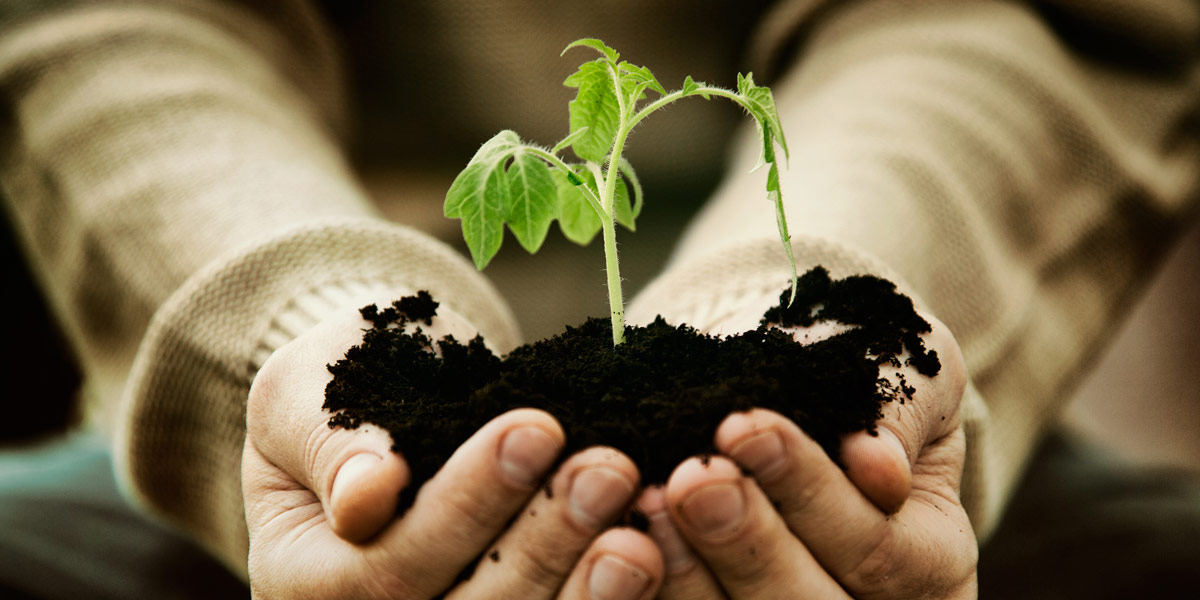 Self-care Gardening